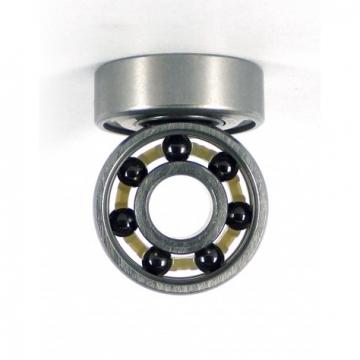 Hybrid Ceramic Stainless Steel Ball Bearing (608 6000 6001 6006 2RS)