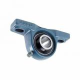 Chrome Steel Pillow Block Bearing with Cast Iron Flange UCP205 208 210 with Bearing Housings