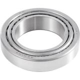 ISO Certificated Taper Roller Bearing with Market Price (32005)
